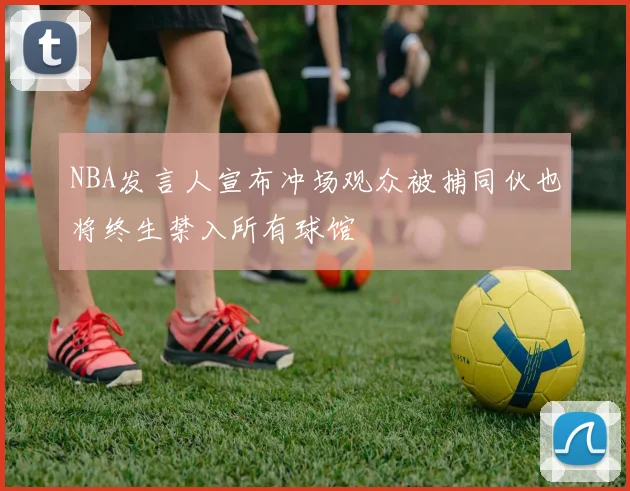 NBA发言人宣布冲场观众被捕同伙也将终生禁入所有球馆